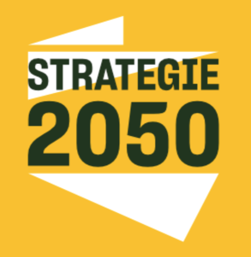 INSTYTUT STRATEGIE 2050