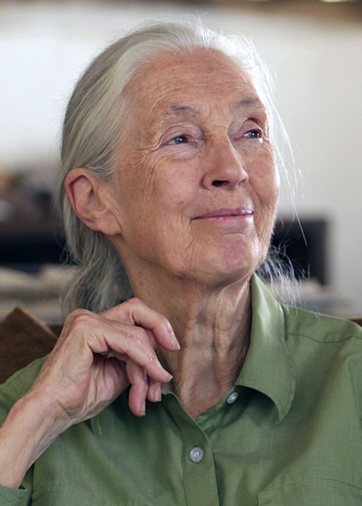 Jane Goodall*
